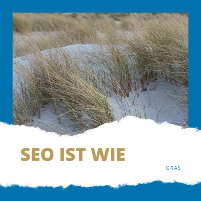 SEO ist wie Gras