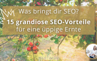 SEO-Vorteile, 15 überzeugende Vorteile von SEO